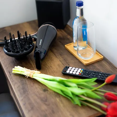 Konukevi Renata's House