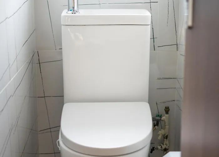 Renata's House Бристоль