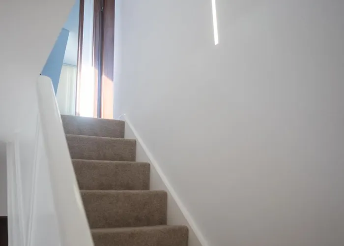 招待所 Renata's House *